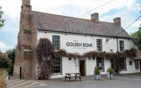 The Golden Boar